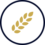 Freash Icon